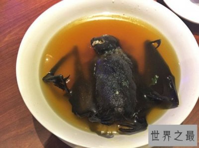 ​全球十大恶心食品，看到这些食物吐都来不及