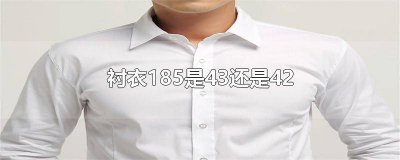 ​42衬衣是185 还是180 43的衬衫相当于185吗