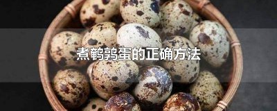 ​煮鹌鹑蛋的正确方法