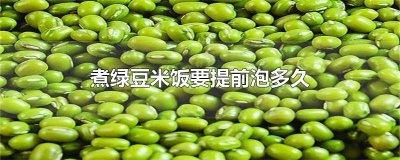 ​煮绿豆米饭要提前泡多久 煮绿豆米饭要提前泡多久合适