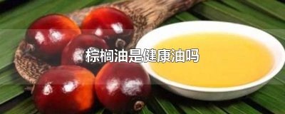 ​棕榈油是不是食用油 棕榈油是危害健康的