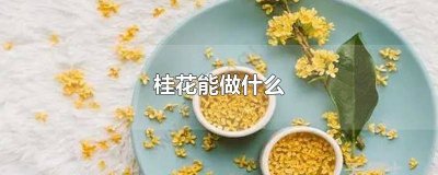 ​桂花能做什么吃的? 桂花能做什么东西吃呢,作文怎么写