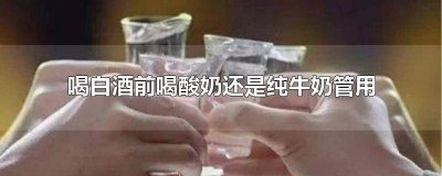 ​喝白酒之前喝酸奶还是纯奶 喝白酒之前喝酸奶还是牛奶