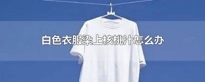 ​核桃的汁液染在衣服上怎么办 白体恤染上樱桃汁怎么办