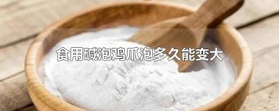 ​鸡爪子怎么泡会变大 食用碱泡鸡爪的用法与用量