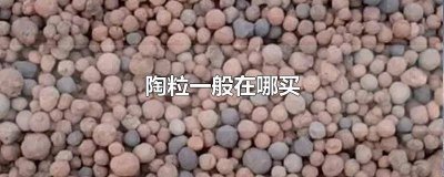 ​陶粒批发多少钱 陶粒在哪里买到