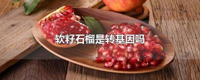 ​无籽石榴是转基因吗 无籽石榴是转基因食品吗