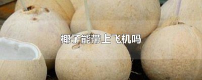 ​椰子能不能带上飞机 椰子能不能带上飞机?