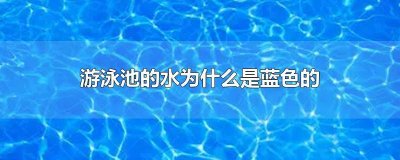 ​游泳池里水为什么是蓝色的 游泳池的水是蓝色的吗