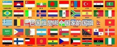 ​国旗是三色旗的国家 哪些国家的国旗是三色旗?