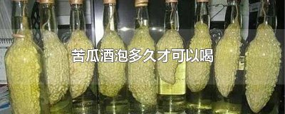 ​苦瓜能泡酒喝吗 苦瓜泡酒的功效与作用多久能喝