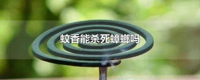 ​电蚊香能毒死蟑螂吗 蚊香可以杀死蟑螂吗?