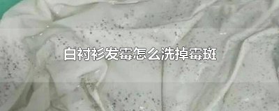 ​白衬衫发霉怎么洗白小妙招 白色衬衫上的霉菌怎么去除