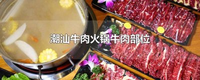 ​潮汕牛肉火锅牛肉部位哪个最嫩 潮汕牛肉火锅牛肉部位分布