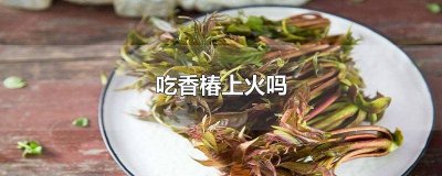 ​吃香椿有火吗 吃香椿是不是上火