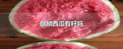 ​麒麟西瓜籽 麒麟西瓜为什么没有籽