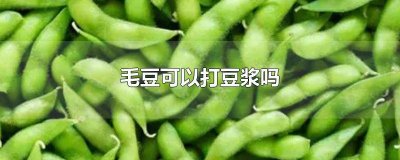 ​毛豆能打豆浆喝吗 毛豆能打豆浆吗