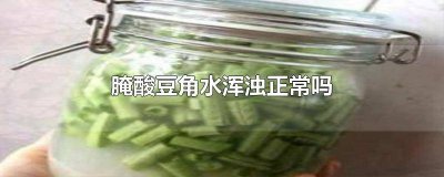 ​泡酸豆角水浑浊正常吗 腌酸豆角水少了怎么补救