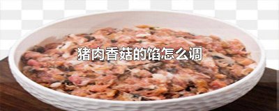 ​猪肉鲜香菇馅怎么调好吃 猪肉香菇馅儿怎么和