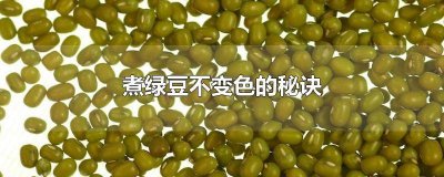 ​煮绿豆不变色的秘诀 煮绿豆不变色的秘诀是什么