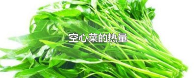 ​空心菜的热量和脂肪是多少 空心菜的热量是多少千焦