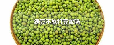 ​绿豆不能打豆浆是为什么 绿豆可以打豆浆吗?