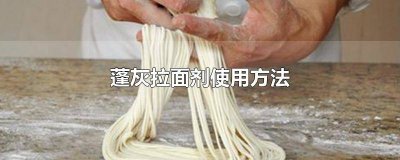 ​蓬灰拉面剂使用方法视频教程 拉面用的蓬灰可以用什么代替