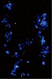 ​天文学家窥探宇宙中最大、最暗及最难以捉摸的特征之一：宇宙网银河系间细丝