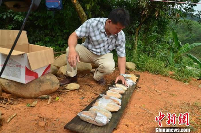 广西百色市凌云县首次发掘“旧石器时代遗址”