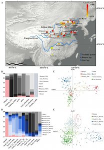 ​《遗传学报（英文版）》：古基因组揭示仰韶文化古代人群的母系遗传结构