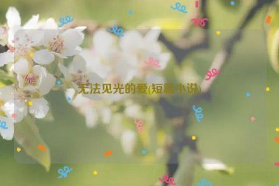 ​无法见光的爱(短篇小说)