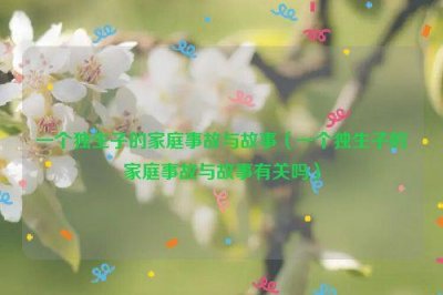 ​一个独生子的家庭事故与故事（一个独生子的家庭事故与故事有关吗）