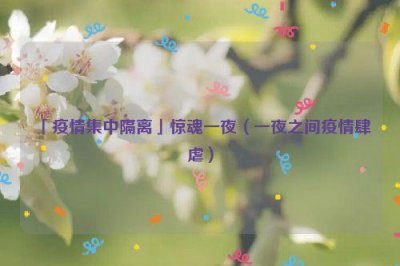 ​「疫情集中隔离」惊魂一夜（一夜之间疫情肆虐）