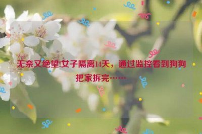 ​无奈又绝望!女子隔离14天，通过监控看到狗狗把家拆完……