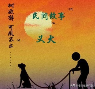 ​【老人说】民间故事.义犬（义犬的故事）