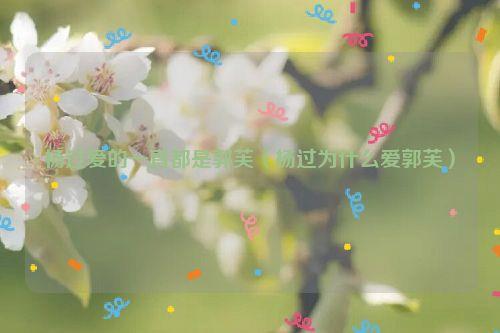 杨过爱的一直都是郭芙（杨过为什么爱郭芙）