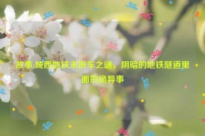 ​故事:城西地铁末班车之谜，阴暗的地铁隧道里面的诡异事