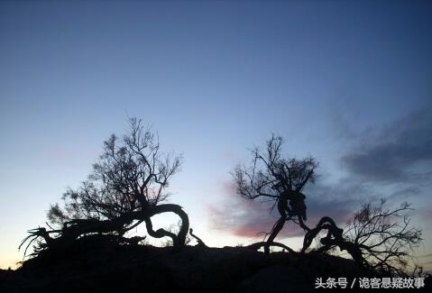 鬼故事：山村有个树林叫葬鬼林，村民经常遇见诡异的怪事发生十九