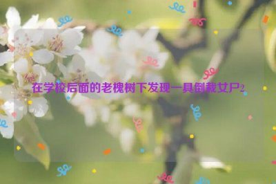 ​在学校后面的老槐树下发现一具倒栽女尸2