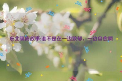 ​东北隔离故事:谁不是在一边致郁，一边自愈啊