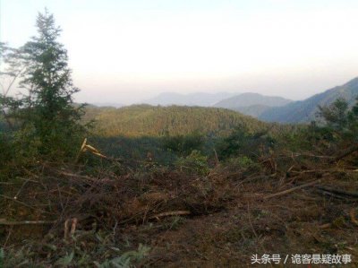 ​鬼故事:外地老板乡村发现古墓，拿了不该拿的东西中邪而亡(八)