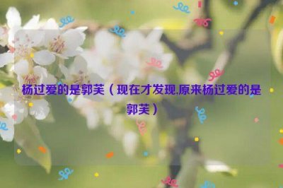 ​杨过爱的是郭芙（现在才发现,原来杨过爱的是郭芙）