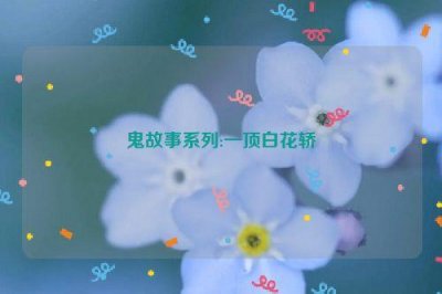 ​鬼故事系列:一顶白花轿