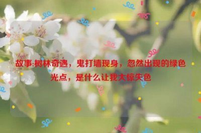 ​故事:树林奇遇，鬼打墙现身，忽然出现的绿色光点，是什么让我大惊失色