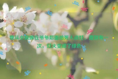 ​我从小就跟在爷爷后面给死人点灯，直到有一次，灯火变成了绿色