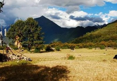 ​古代地广人稀粮食不够吃的时候 古人为什么不去开荒种地