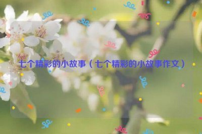 ​七个精彩的小故事（七个精彩的小故事作文）