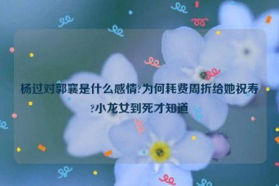 ​杨过对郭襄是什么感情?为何耗费周折给她祝寿?小龙女到死才知道