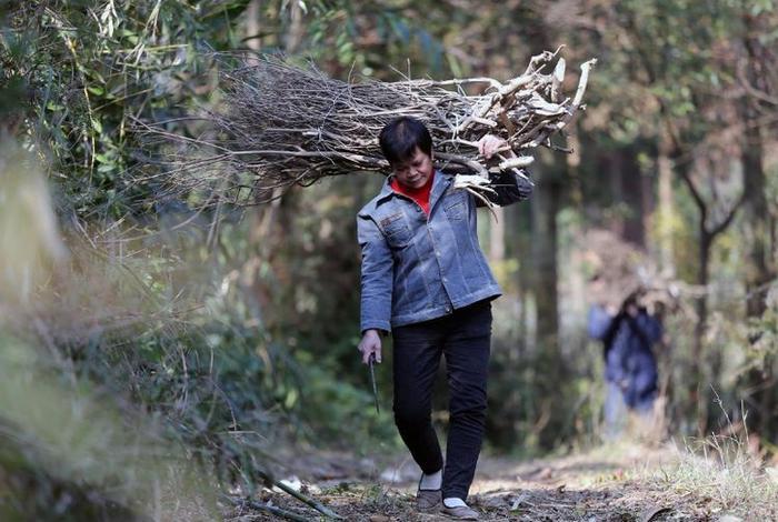 10张照片直击农村女人劳动美，哪一张你最欣赏？