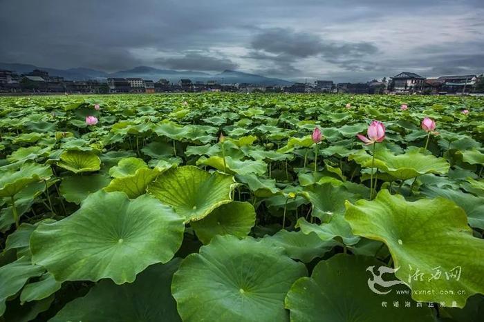 《怒晴湘西》爆火，这片自带神奇色彩的秘境，远比你想象的更“勾魂”